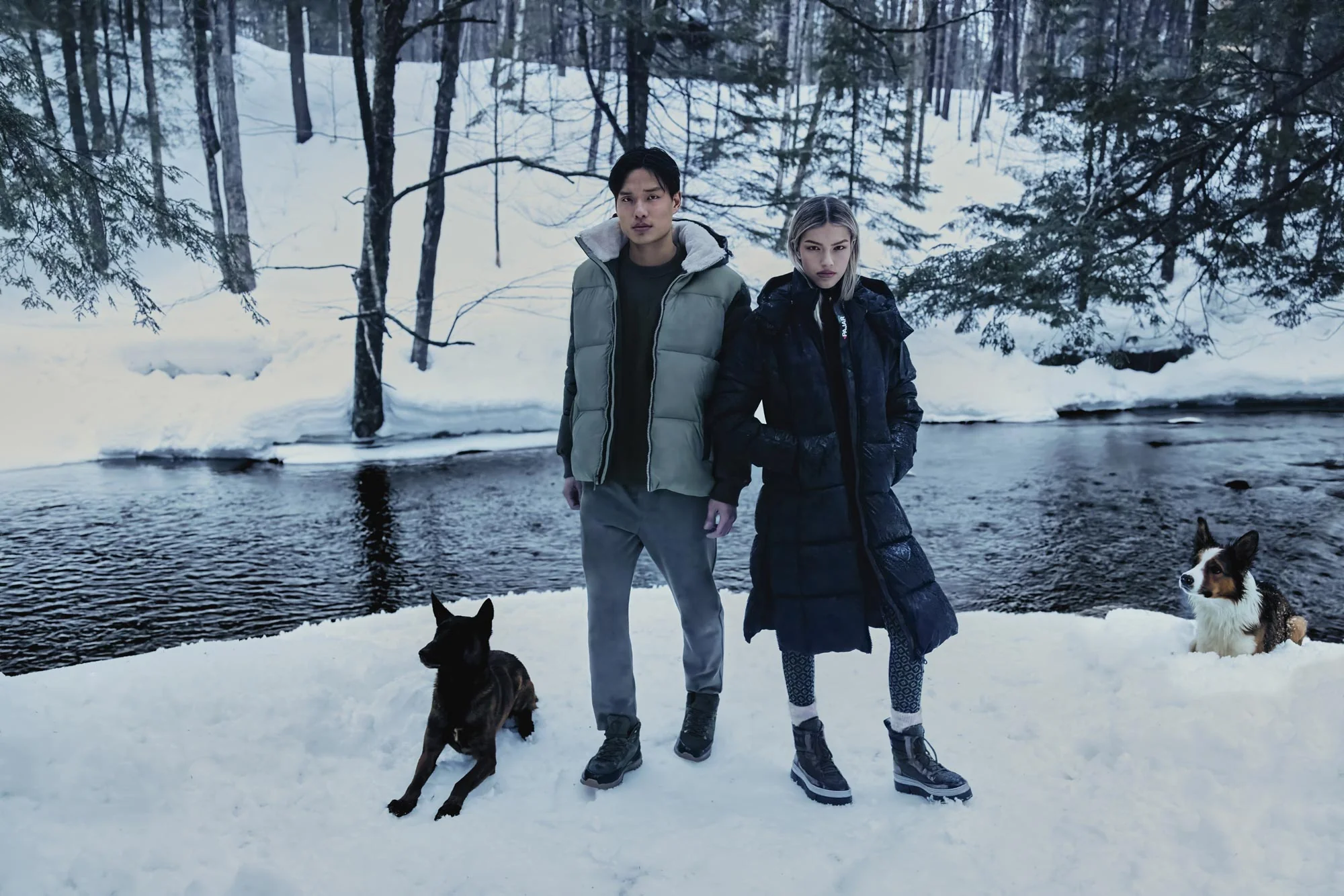 Master the Elements for Less